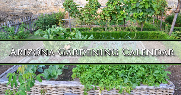 Arizona Gardening Calendar Mesa Gilbert Queen Creek AZ