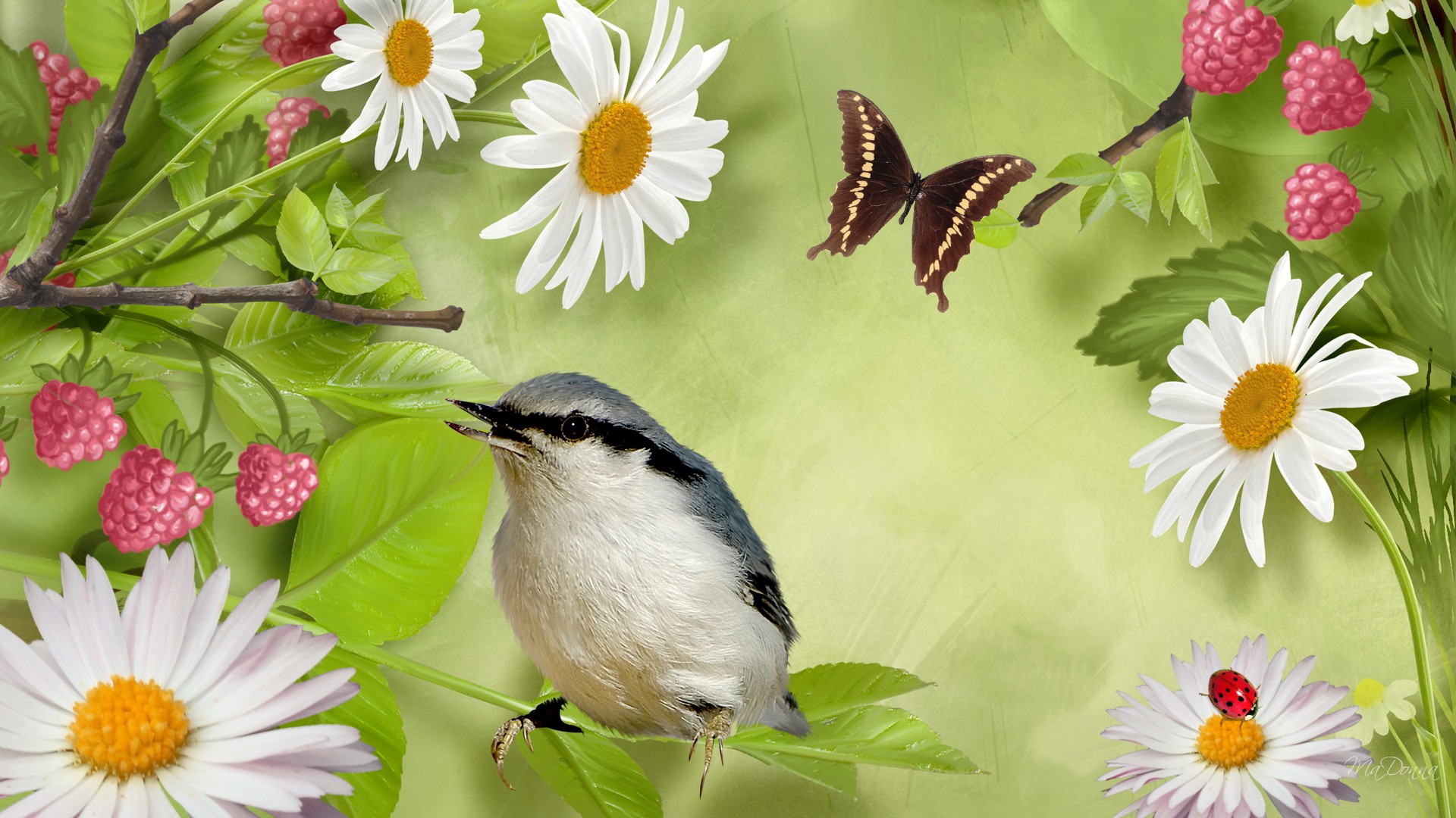 Beautiful Pictures Of Flowers And Butterflies Birds