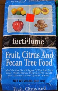 Fruit Tree Citrus Tree Pecan Tree Food