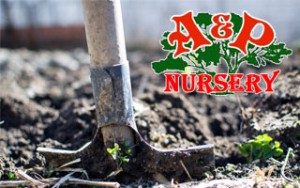 Garden Soil Vs. Potting Mix | Differences - A&P Nursery