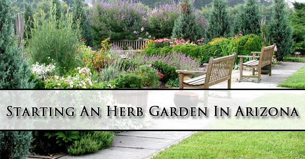 Starting An Herb Garden In Arizona