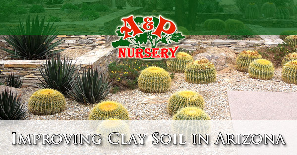 Improving Clay Soil in Arizona